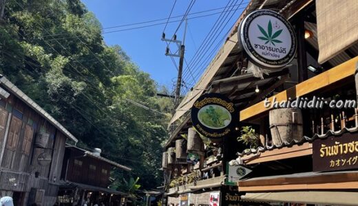 チェンマイ郊外、人気のメーカンポン観光！