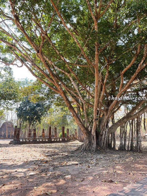 カンペンーンペット歴史公園